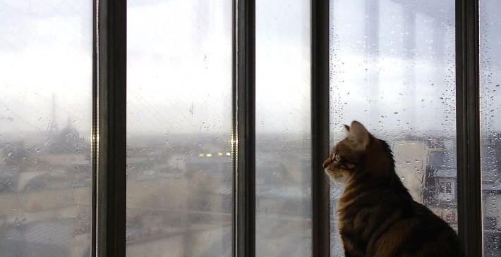 Monkee and the Tower